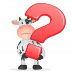 vaca concello de barro