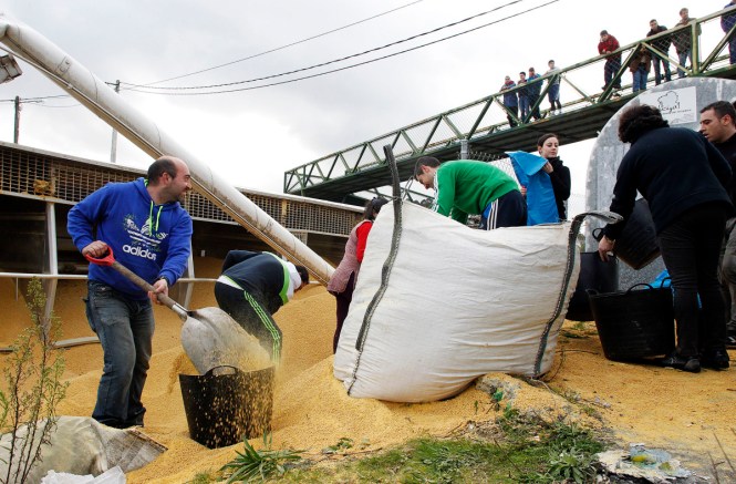 PONTEVEDRA Camion pienso volcado accidente MONICA PATXOT