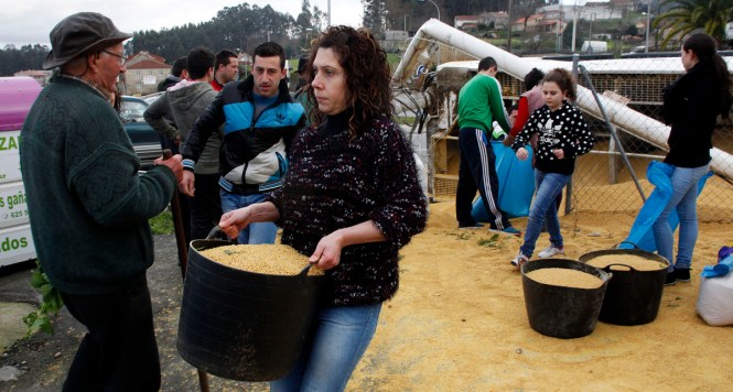 PONTEVEDRA Camion pienso volcado accidente MONICA PATXOT