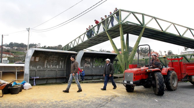 PONTEVEDRA Camion pienso volcado accidente MONICA PATXOT