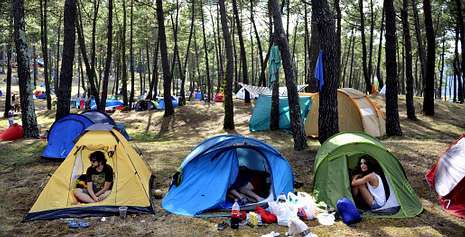 FESTIVAL DE ORTIGUEIRA