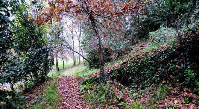 542ae2b4c1-juan-mejuto-barro-008