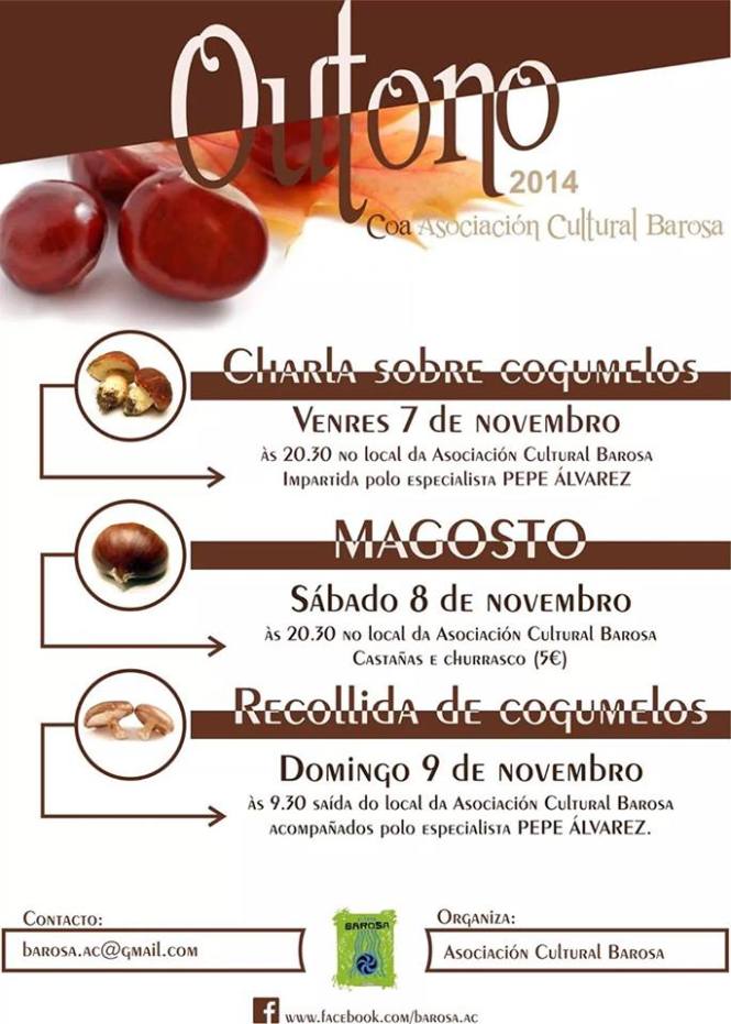 magosto barro barosa