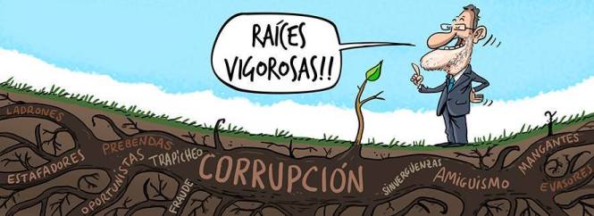 raices vigorosa