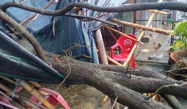 ciclogenisis novas de barro