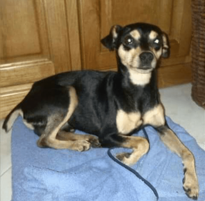 Screenshot_2015-11-12-09-22-32