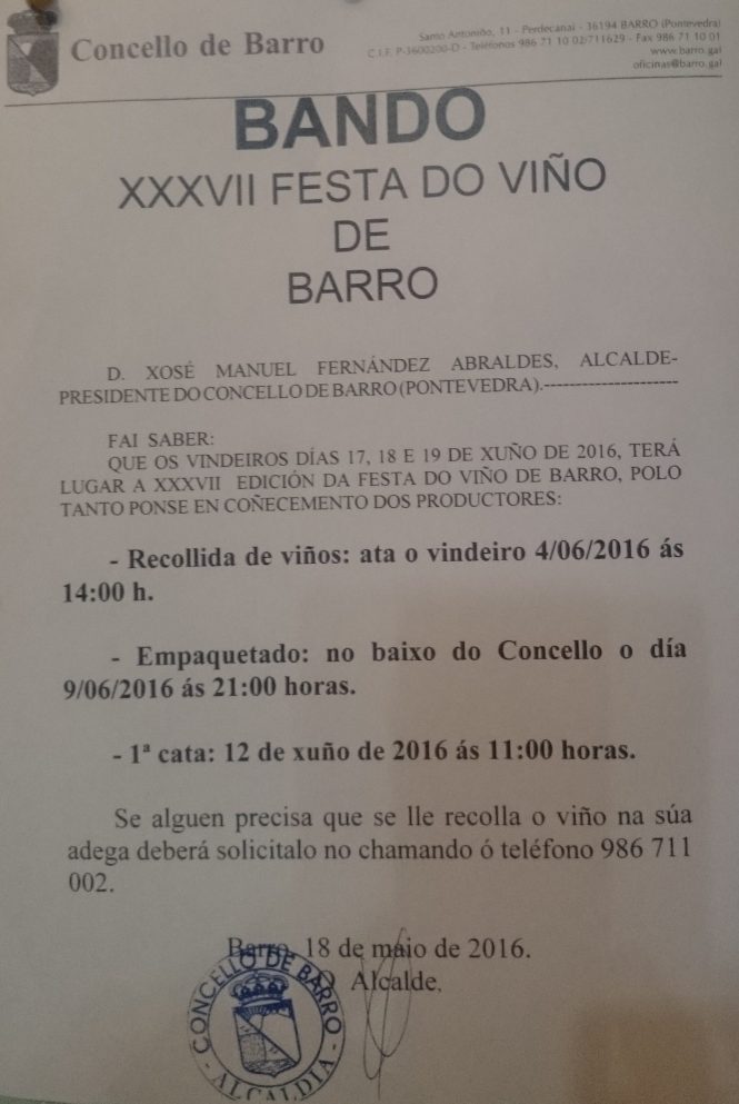 FESTA DO VIÑO - copia