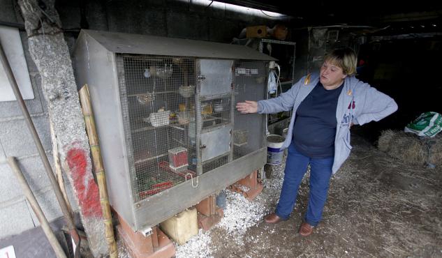 roubo barro pontevedra