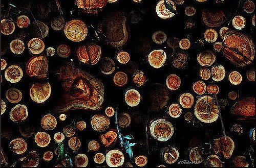 58065ef2cd-58065d9739-3870384664_3687235aba_z