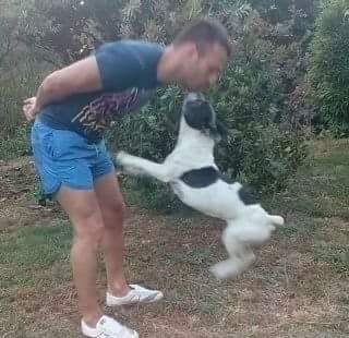 FB_IMG_1508538097483