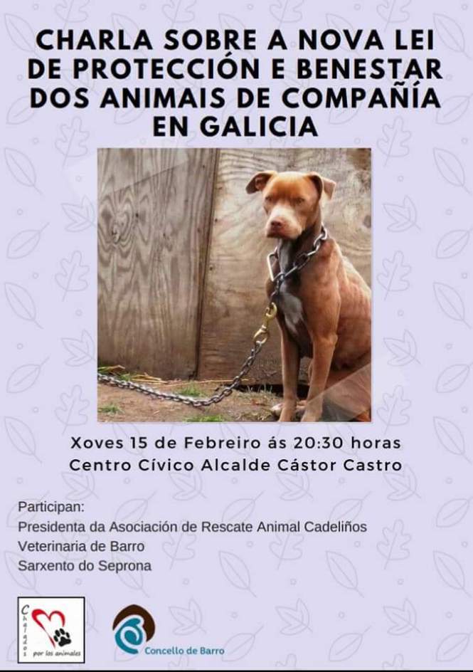 FB_IMG_1517863144613