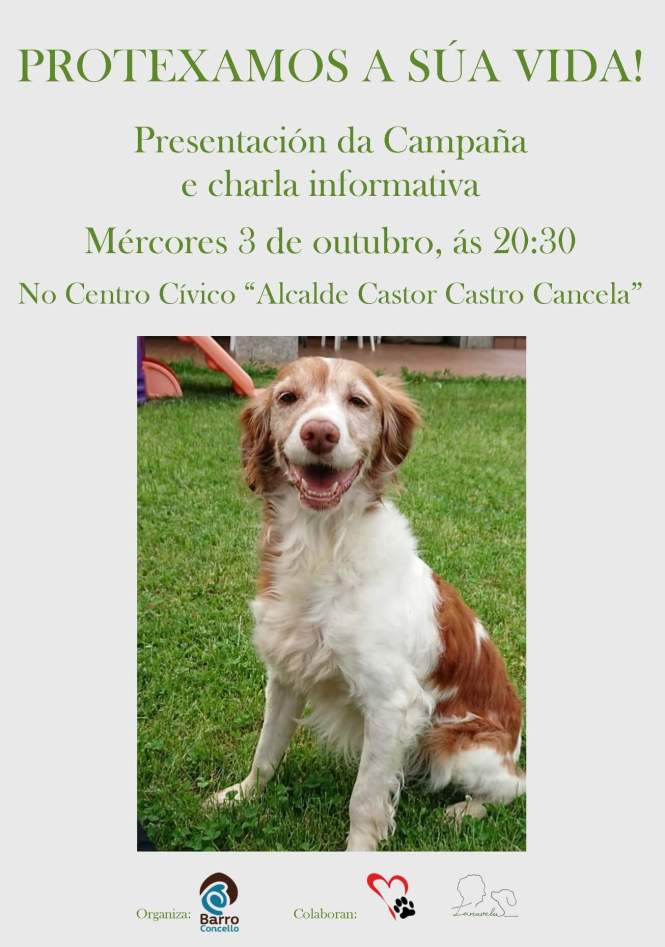 FB_IMG_1538142720430