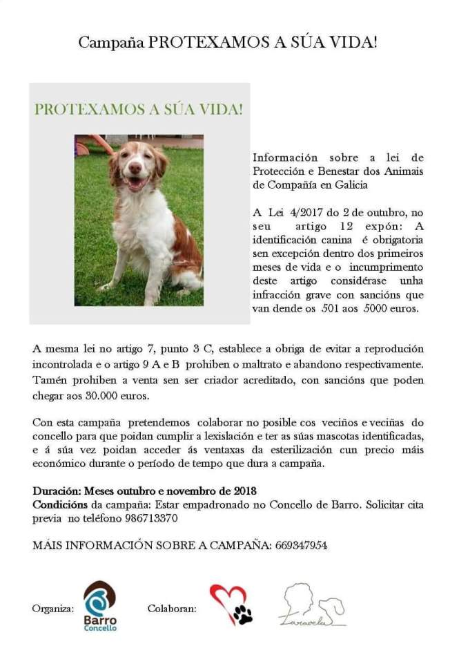 FB_IMG_1538931073663