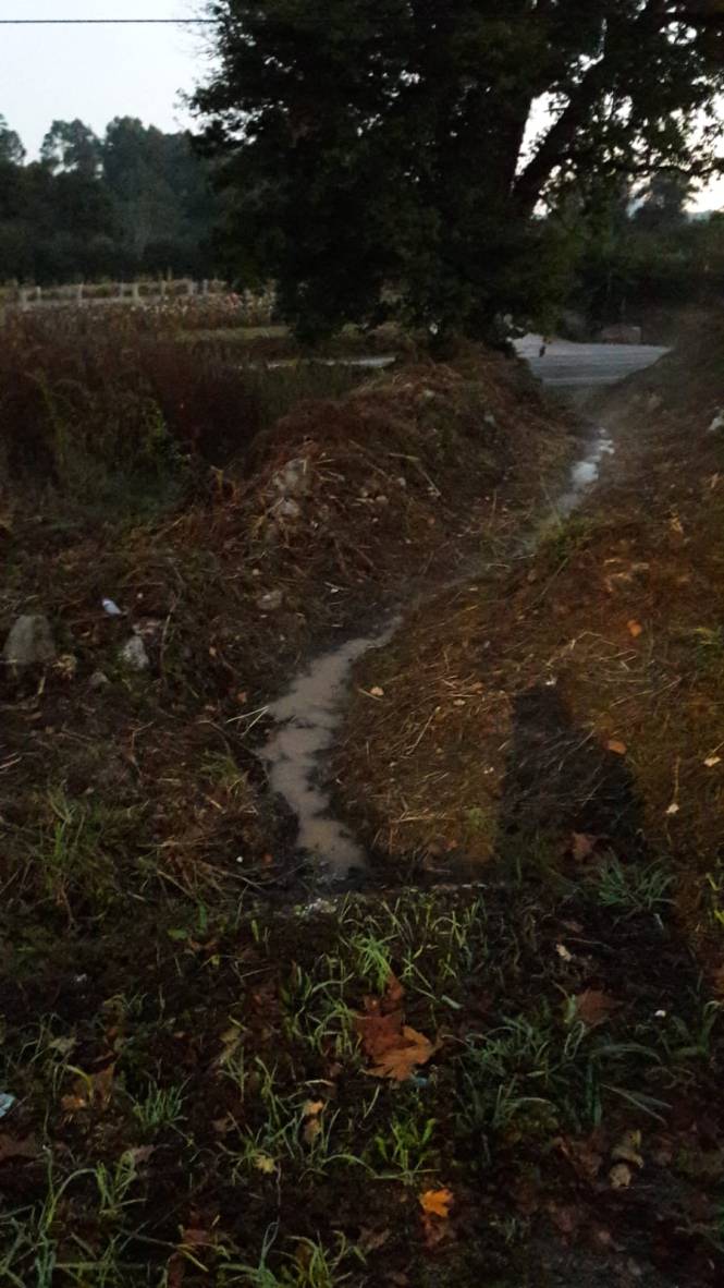 ae99220f-357e-4877-ae6c-ee8a747dfb66