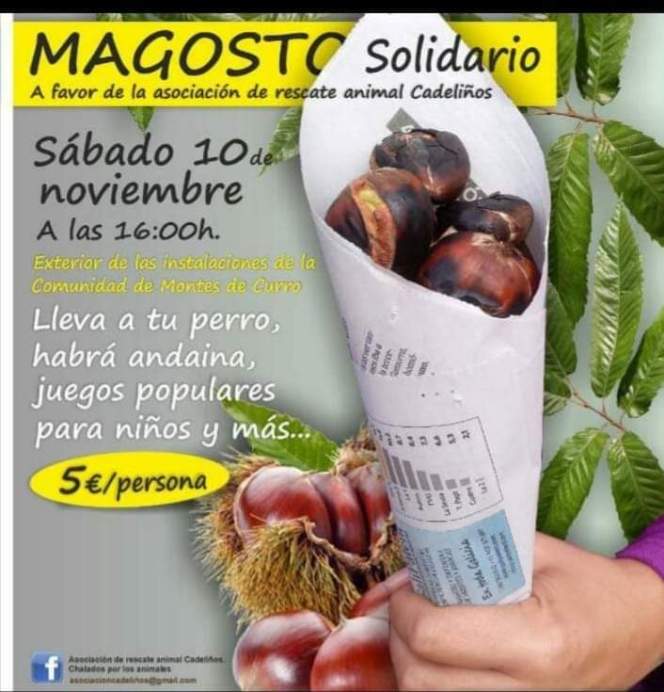 FB_IMG_1541604279485