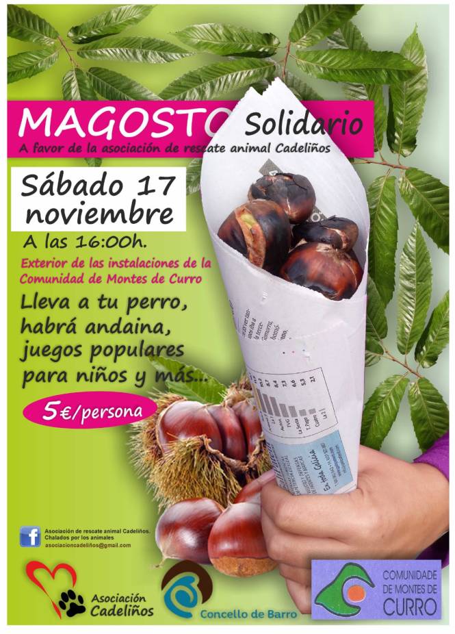 PHOTO-2018-11-09-09-36-54