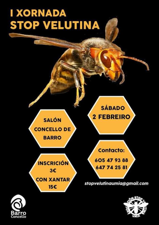 fb_img_1548442083769