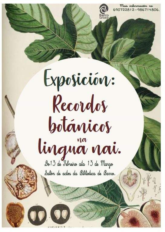 FB_IMG_1550004684794