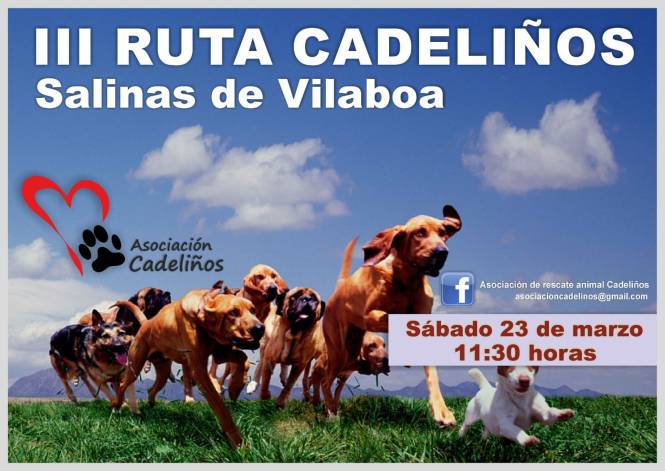 PHOTO-2019-03-13-12-56-21