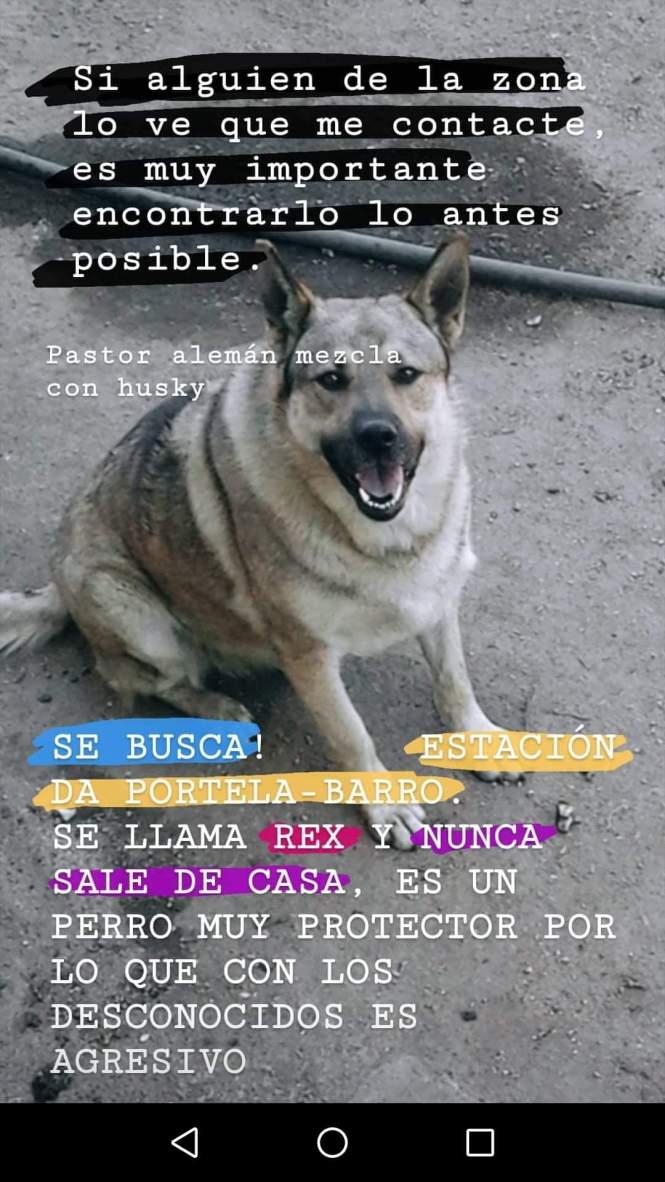 FB_IMG_1577374394674